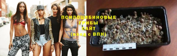 каннабис Арсеньев