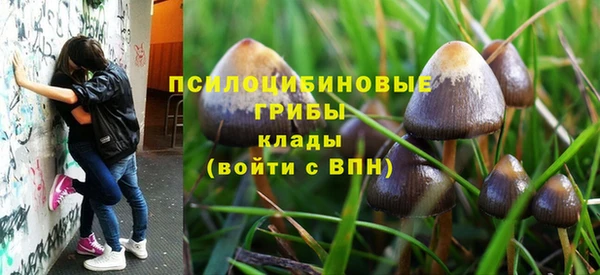 каннабис Арсеньев