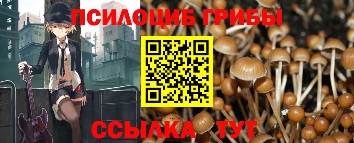 Галлюциногенные грибы ЛСД  Галлюциногенные грибы Psilocybe  Сатка  Вход с VPN 
