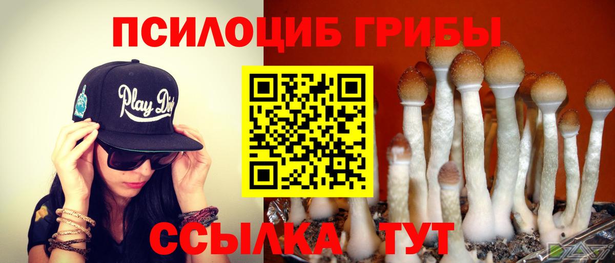 Галлюциногенные грибы MAGIC MUSHROOMS Сатка